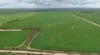 Lot 104 Coxs Road, Tickera, SA 5555-Image