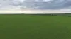Lot 104 Coxs Road, Tickera, SA 5555-Image