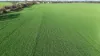 Lot 104 Coxs Road, Tickera, SA 5555-Image