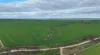 Lot 104 Coxs Road, Tickera, SA 5555-Image