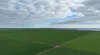 Lot 104 Coxs Road, Tickera, SA 5555-Image