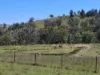 Lot 14 Redgate Silverspur Road, TEXAS NSW 4385-Image