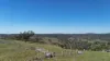 Lot 14 Redgate Silverspur Road, TEXAS NSW 4385-Image