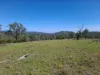 Lot 14 Redgate Silverspur Road, TEXAS NSW 4385-Image