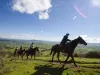 Lot 14 Redgate Silverspur Road, TEXAS NSW 4385-Image