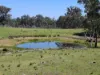 Lot 14 Redgate Silverspur Road, TEXAS QLD 4385-Image