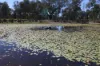 Lot 14 Redgate Silverspur Road, TEXAS QLD 4385-Image