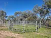 Lot 14 Redgate Silverspur Road, TEXAS QLD 4385-Image