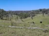 Lot 14 Redgate Silverspur Road, TEXAS QLD 4385-Image