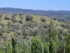 Lot 14 Redgate Silverspur Road, TEXAS QLD 4385-Image