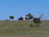 Lot 14 Redgate Silverspur Road, TEXAS QLD 4385-Image