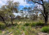 Lot 1495 East Boundary Road, Gabbin, WA 6476-Image