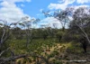 Lot 1495 East Boundary Road, Gabbin, WA 6476-Image