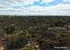 Lot 1495 East Boundary Road, Gabbin, WA 6476-Image