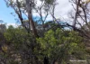 Lot 1495 East Boundary Road, Gabbin, WA 6476-Image