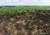 Lot 1495 East Boundary Road, Gabbin, WA 6476-Image