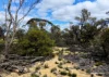 Lot 1495 East Boundary Road, Gabbin, WA 6476-Image