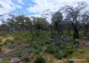Lot 1495 East Boundary Road, Gabbin, WA 6476-Image