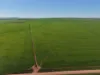 Lot 18 Scott Road, Beaufort, SA 5550-Image
