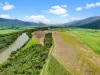 Lot 19 Barbagallo Road, Aloomba, Qld 4871-Image