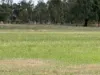 Lot 2/700 Madill Road, Undera, Vic 3629-Image