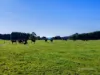 Lot 2 Loonah Road, Natone, Tas 7321-Image