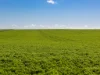 Lot 21 Boundary Road, Curramulka, SA 5580-Image