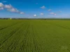 Lot 21 Boundary Road, Curramulka, SA 5580-Image