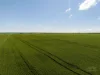 Lot 21 Boundary Road, Curramulka, SA 5580-Image