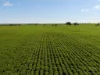Lot 21 Boundary Road, Curramulka, SA 5580-Image