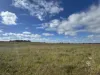 Lot 215 Schmaals Road, Angas Valley, SA 5238-Image