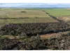 Lot 215 Schmaals Road, Angas Valley, SA 5238-Image