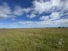 Lot 215 Schmaals Road, Angas Valley, SA 5238-Image