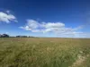 Lot 215 Schmaals Road, Angas Valley, SA 5238-Image