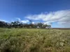Lot 215 Schmaals Road, Angas Valley, SA 5238-Image