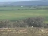 Lot 215 Schmaals Road, Angas Valley, SA 5238-Image
