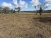 Lot 28 Aubigny - Crosshill Road, Aubigny, Qld 4401-Image