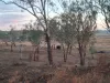 Lot 28 Aubigny - Crosshill Road, Aubigny, Qld 4401-Image