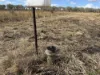 Lot 28 Aubigny - Crosshill Road, Aubigny, Qld 4401-Image