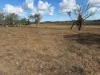 Lot 28, Aubigny QLD 4401-Image