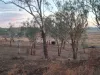 Lot 28, Aubigny QLD 4401-Image