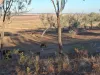 Lot 28, Aubigny QLD 4401-Image