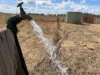 Lot 28, Aubigny QLD 4401-Image