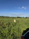 LOT 3 Molongle Beach Road, Gumlu, Qld 4805-Image