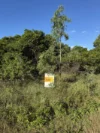 LOT 3 Molongle Beach Road, Gumlu, Qld 4805-Image