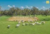 Lot 3 Spencer Road, Narrikup WA 6326-Image