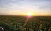 Lot 319 Bruce Highway, Wangaratta, Qld 4806