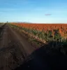 Lot 319 Bruce Highway, Wangaratta, Qld 4806-Image