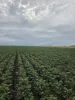 Lot 319 Bruce Highway, Wangaratta, Qld 4806-Image