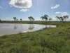 Lot 319 Bruce Highway, Wangaratta, Qld 4806-Image